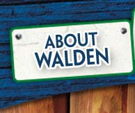 About Walden Summer Camp