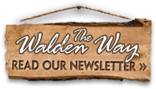 Camp WaldenBlog